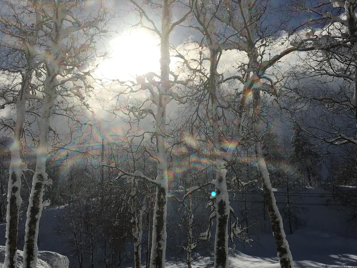 Kvamseter Lodge Eikedalen Dış mekan fotoğraf
