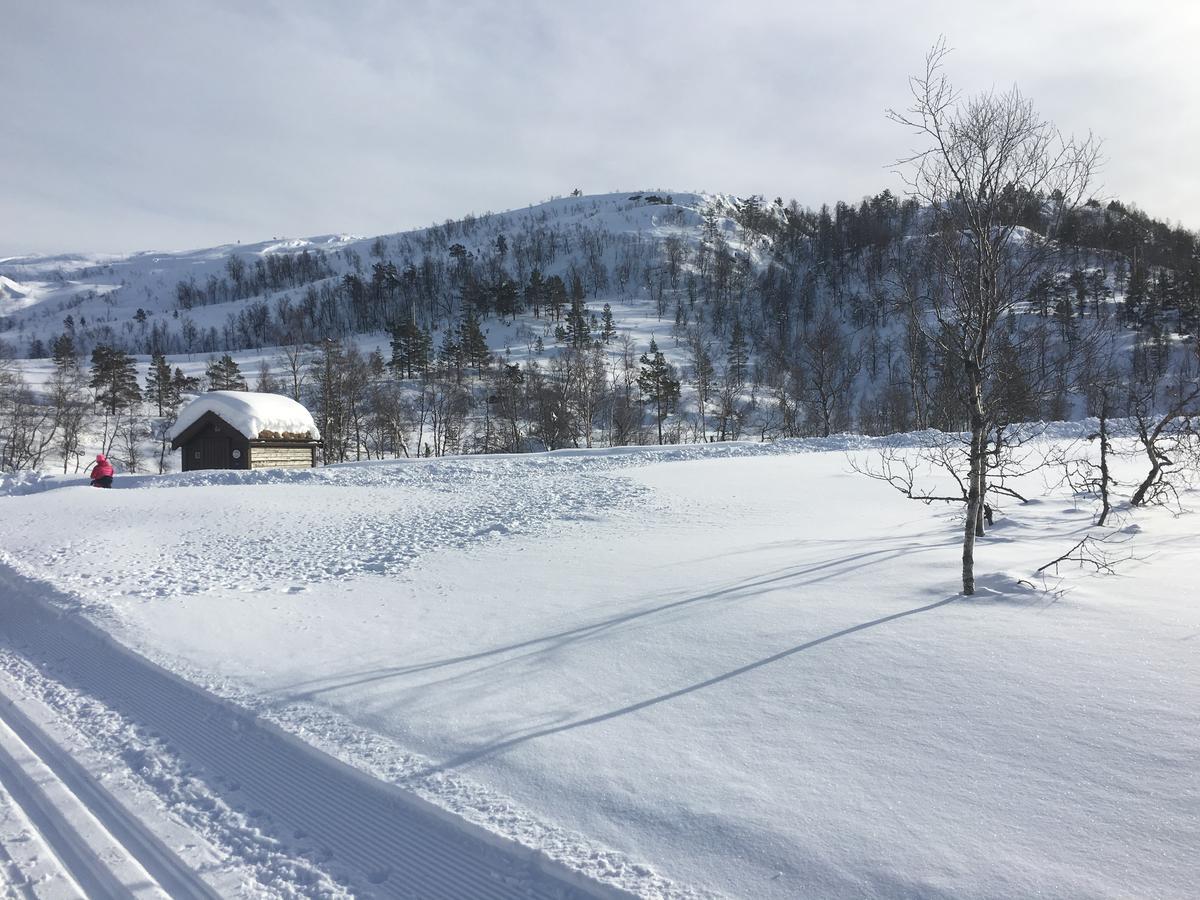 Kvamseter Lodge Eikedalen Dış mekan fotoğraf