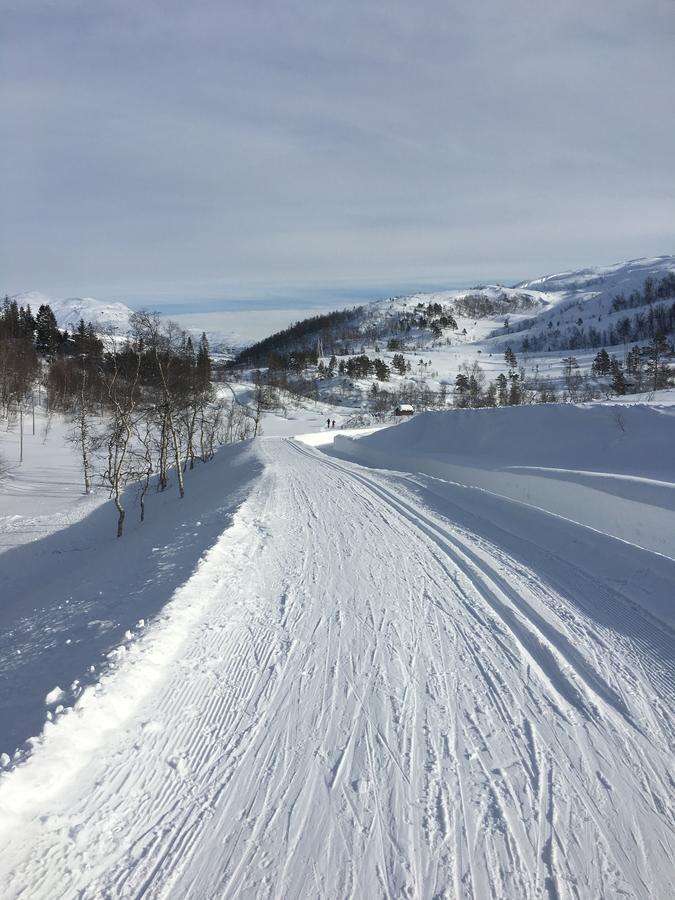 Kvamseter Lodge Eikedalen Dış mekan fotoğraf